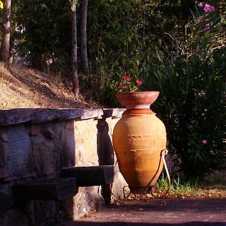 Tenuta Macetona Celle sul Rigo المظهر الخارجي الصورة