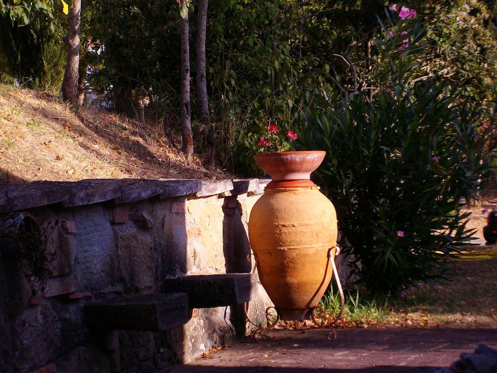 Tenuta Macetona Celle sul Rigo المظهر الخارجي الصورة